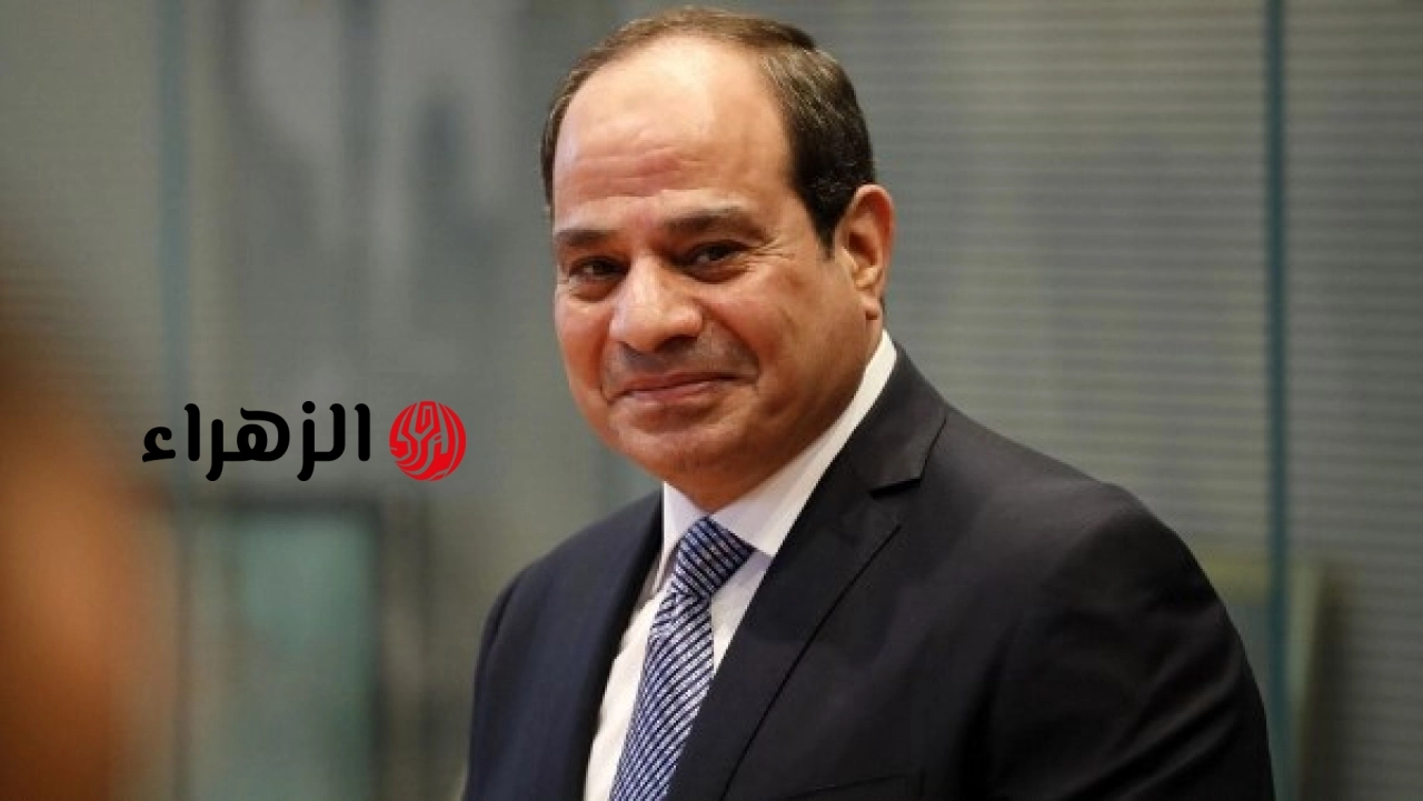 السيسي يوافق على تحسين أجور الإسعاف ويوجه برفع كفاءة الرعاية الصحية