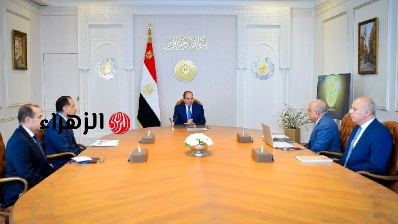 السيسي يوجه بالالتزام بمواعيد مشروعات الطاقة والعمل على رفع مساهمة الطاقة المتجددة إلى 45 بالمئة