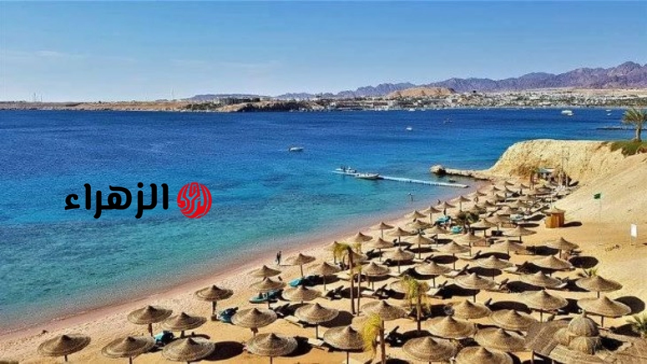 الصحف الأيرلندية تسلط الضوء على تنوع المقصد السياحي المصري وتصفه بوجهة عالمية متكاملة