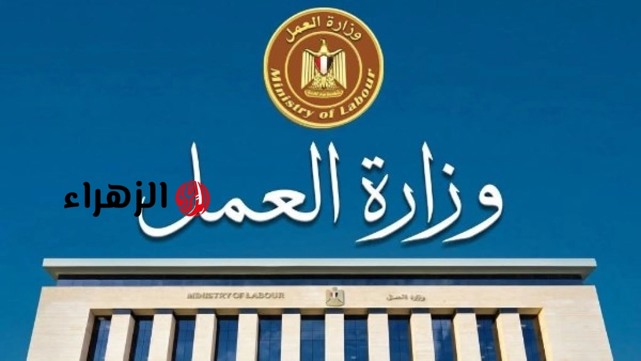 القوى العاملة تطرح 85 فرصة عمل جديدة بالإسماعيلية وتعلن رابط التقديم