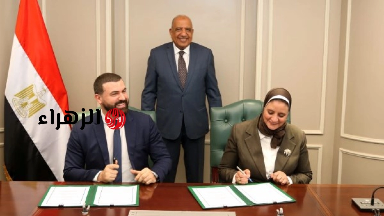 المصرية لنقل الكهرباء تعلن شراكة مع Heca Data لتنفيذ مشروعات رقمية في منظومة الكهرباء