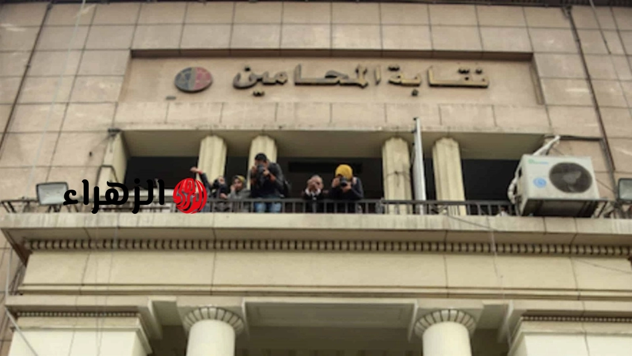 مجلس المحامين يصدر بيانا حول غرفة محامين السويس