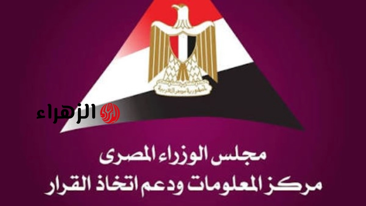 معلومات الوزراء يستعرض جهود الدولة في تعزيز ثقافة القراءة وتنمية المهارات المعرفية لدى النشء والشباب