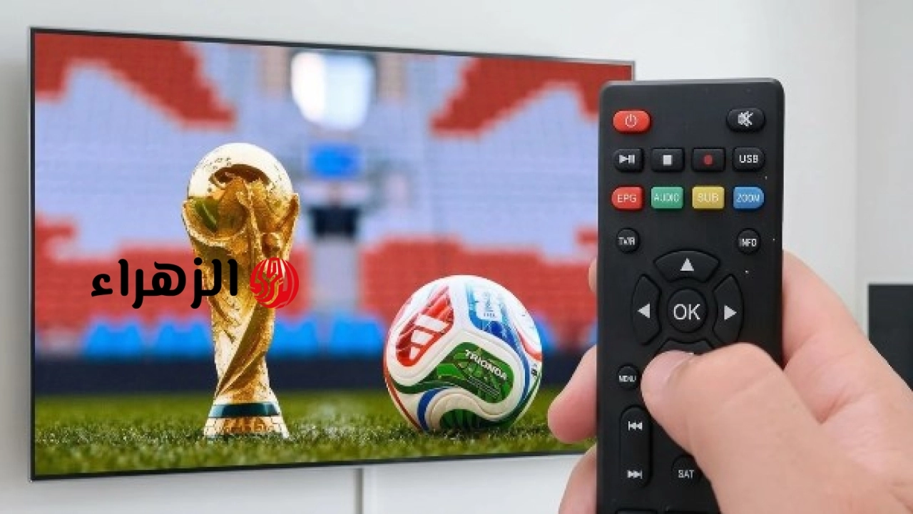 موعد مباراة منتخب مصر وبلجيكا فى كأس العالم 2026 والقنوات الناقلة