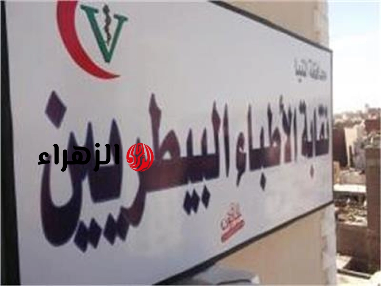 نقابة البيطريين تعقد جلسة لمناقشة تطبيق سنة الامتياز