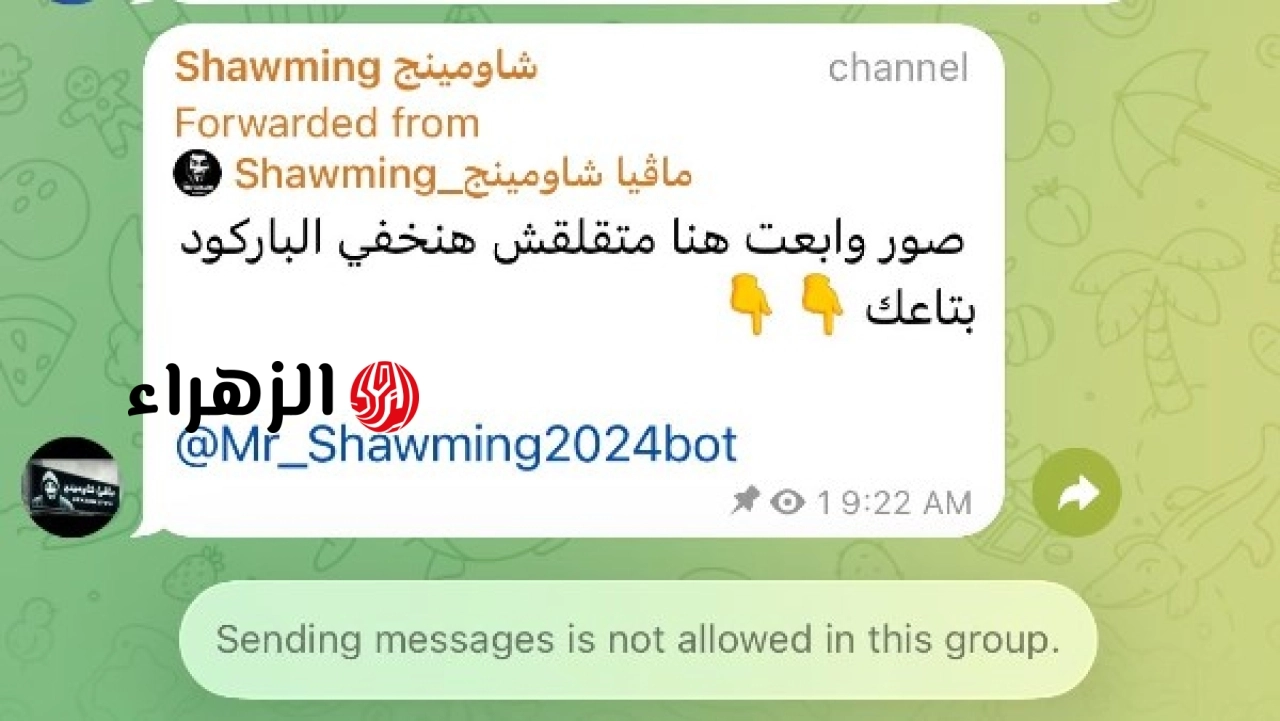 وزارة التربية والتعليم تعلن عدم التعامل مع دعوات تصوير الامتحانات وتحذر من تداولها عبر الإنترنت