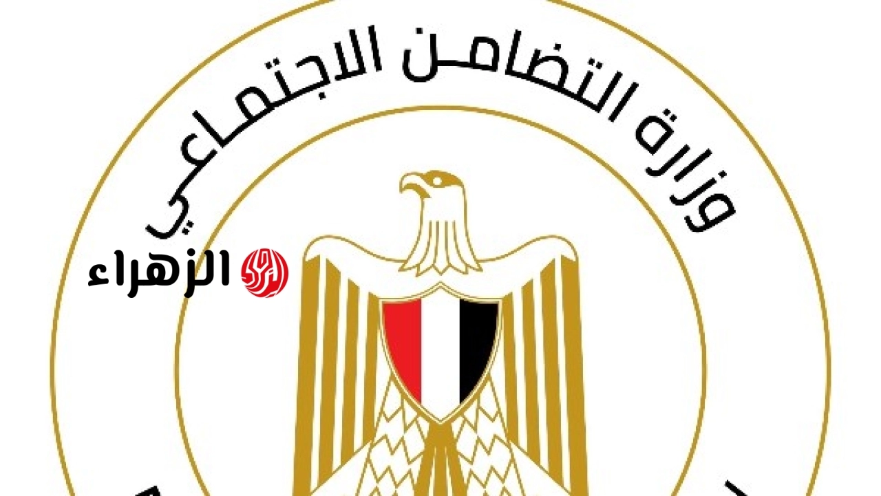 وزارة التضامن تعلن تكامل قطاعاتها لتطوير منظومة الحضانات