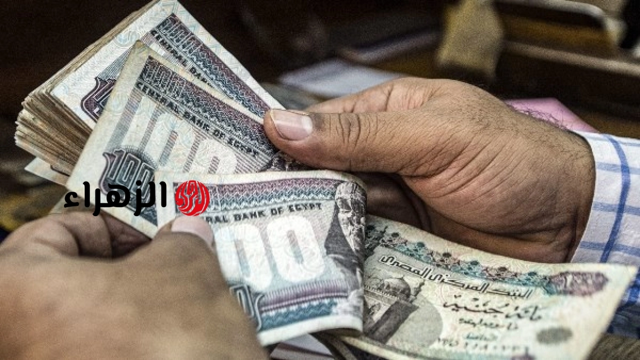 وزارة القوى العاملة تعلن آخر موعد لصرف منحة العمالة غير المنتظمة بقيمة 3000 جنيه 2026