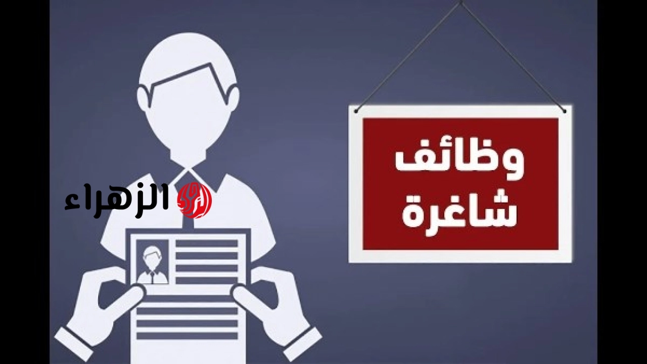 وزارة القوى العاملة تعلن توافر 85 وظيفة برواتب مجزية لذوي الهمم