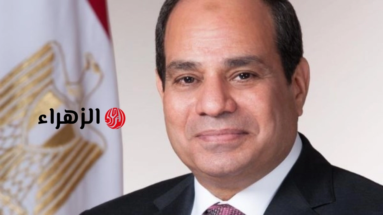 وزيرة التنمية المحلية تهنئ الرئيس عبد الفتاح السيسي ورئيس الوزراء بمناسبة ذكرى 30 يونيو