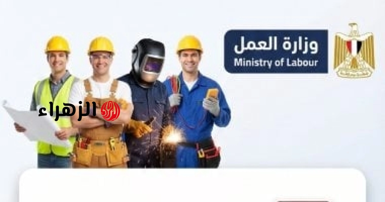 بمرتبات تصل إلى 18 ألف جنيه.. وزارة العمل تعلن توفير 1395 فرصة عمل للشباب في المنطقة الاقتصادية